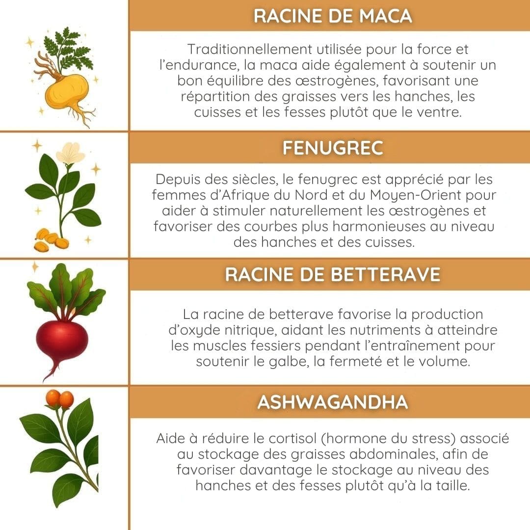 Booty Drops - Huile naturelle galbante pour fessiers